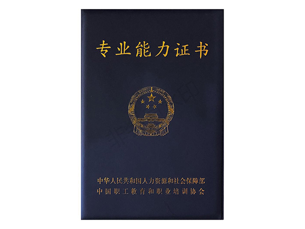 專業(yè)能力證書(shū)